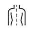 Improves Posture
